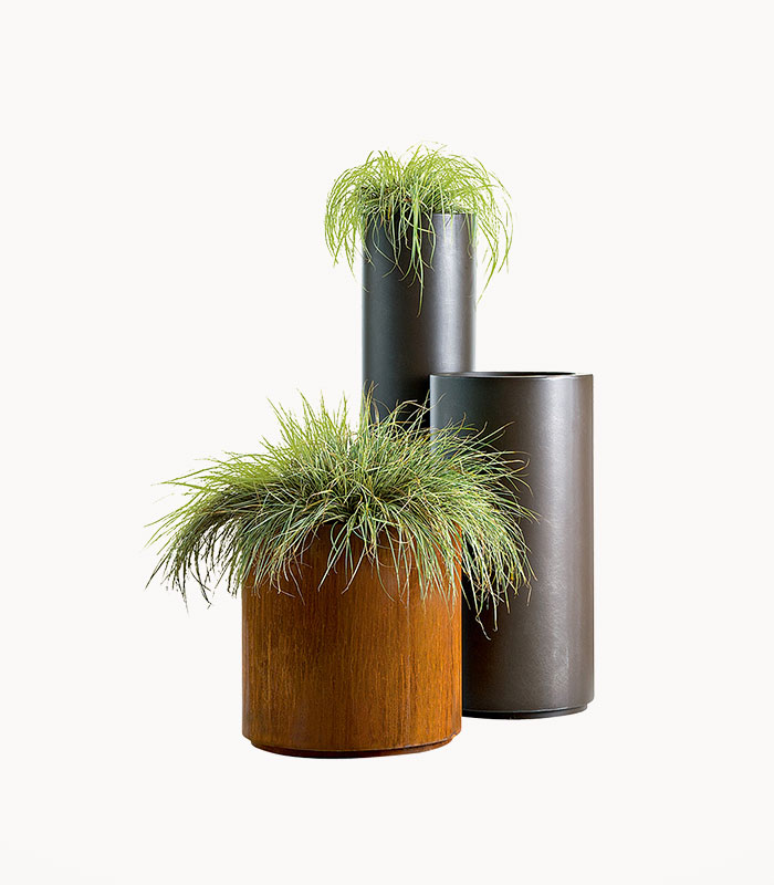 Case of the Miniature Goose - Görsel 3