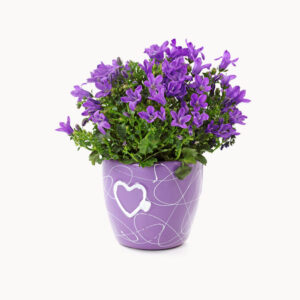 Crime of the Mute Lodger Crime of the Mute Lodger